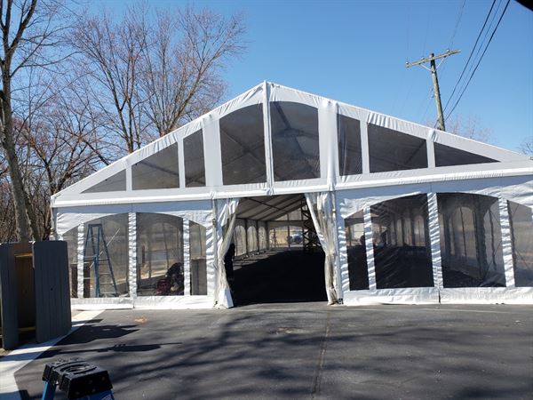 Bos Structure and Events