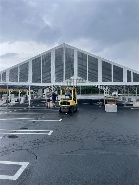 Bos Structure and Events