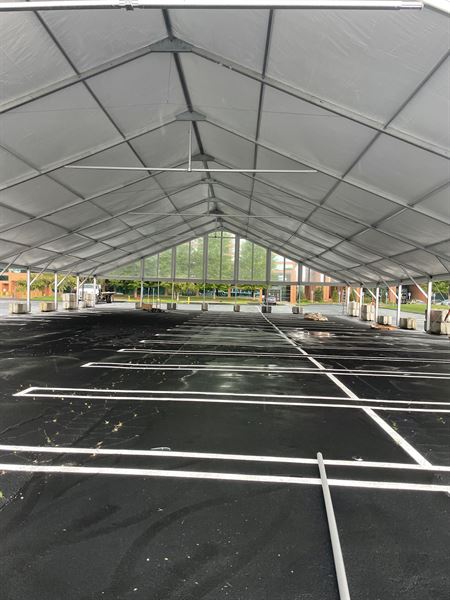 Bos Structure and Events