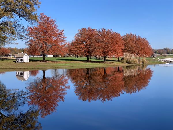 The Point at Pintail