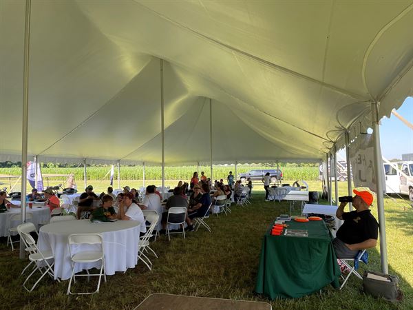 The Point at Pintail