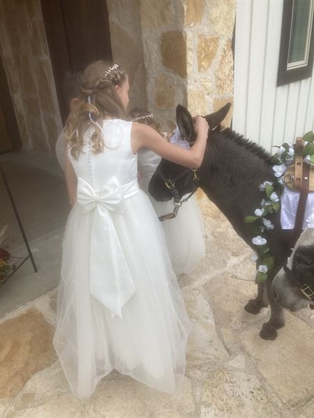 BEST BEER BURROS IN TEXAS