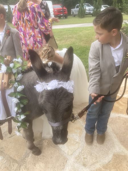 BEST BEER BURROS IN TEXAS