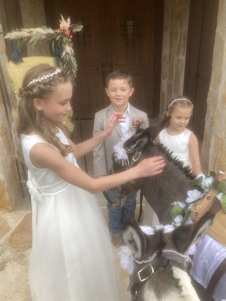 BEST BEER BURROS IN TEXAS