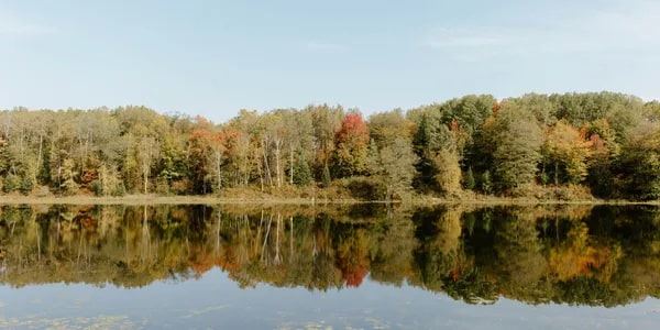 Northwoods Michigan Events