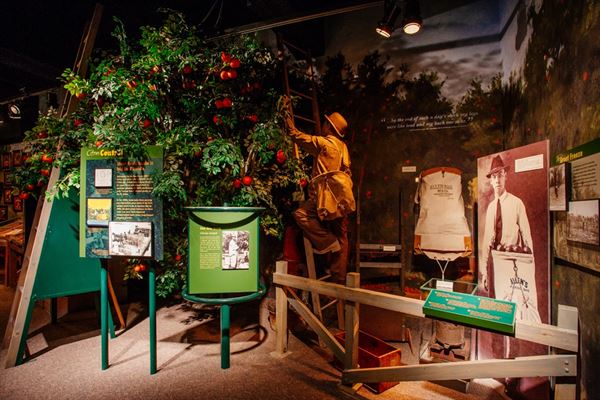 Orange County Regional History Center