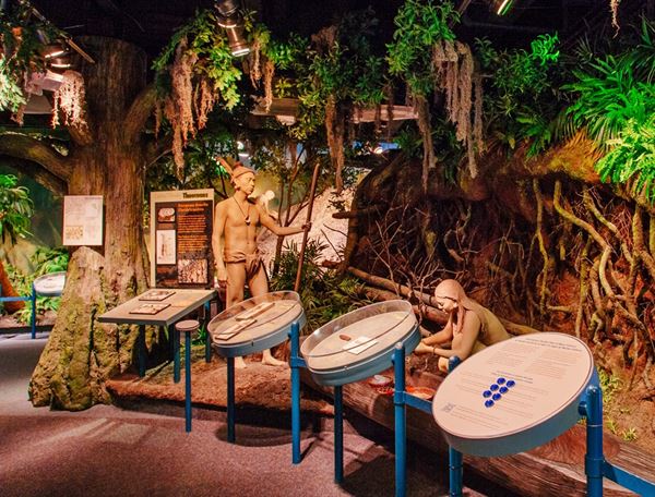 Orange County Regional History Center