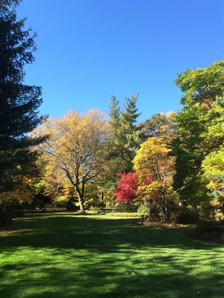 Westcroft Gardens & Farm