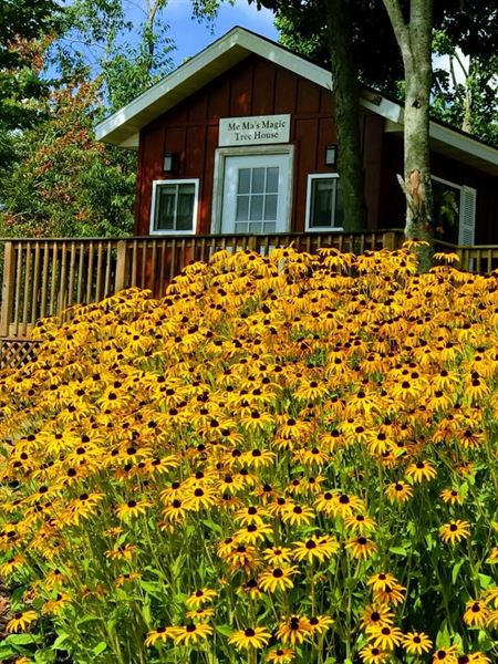 The Gathering Place - Acres of Hope Ministry