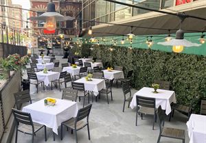 Harry's Outfield Patio