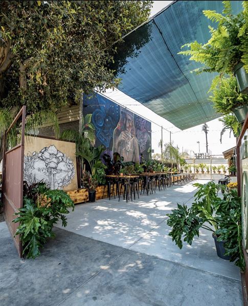 Thorn Brewing Co. Barrio Logan