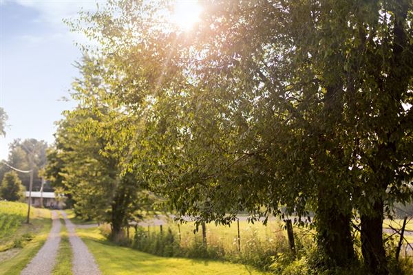 The Barn on Maryland Ridge