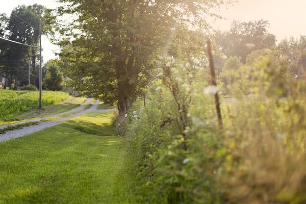 The Barn on Maryland Ridge
