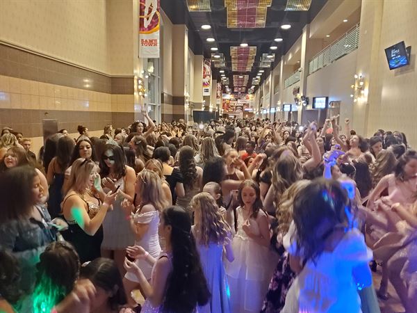 Las Vegas Party Pros