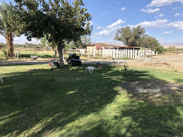 Galvan ranch