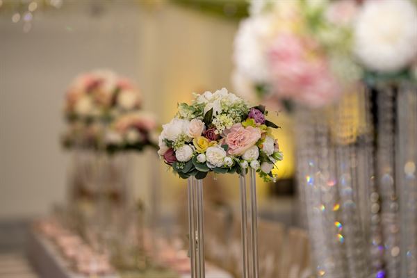 Purple palace events