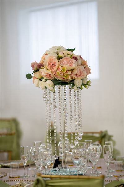 Purple palace events