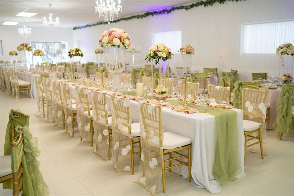 Purple palace events