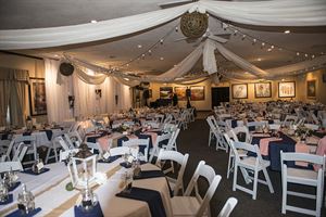 Wings Gallery Reception Center