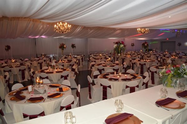 Fort Frenzy - Cardiff Center