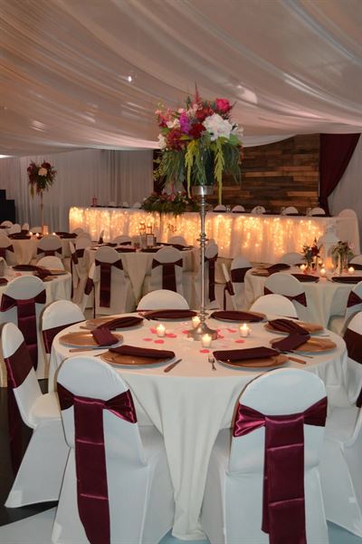 Fort Frenzy - Cardiff Center