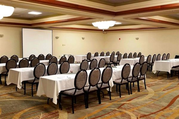 Holiday Inn Chicago SW-Countryside Conference Center