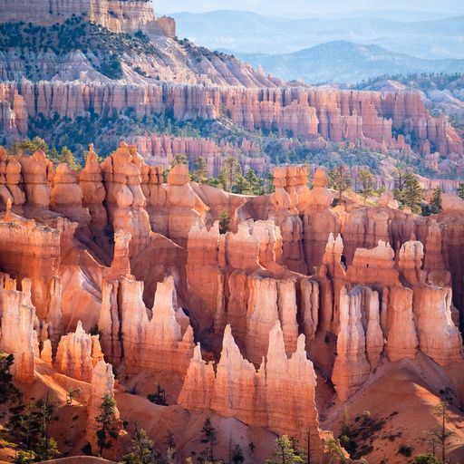 Under Canvas Bryce Canyon