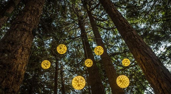 Bodega Bay Secret Gardens