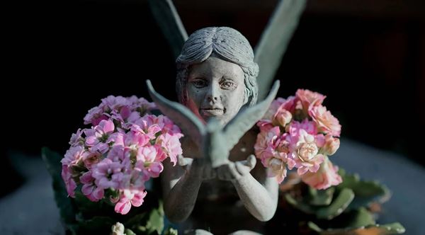 Bodega Bay Secret Gardens