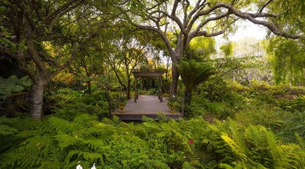 Bodega Bay Secret Gardens