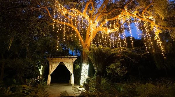 Bodega Bay Secret Gardens