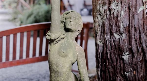 Bodega Bay Secret Gardens