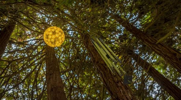 Bodega Bay Secret Gardens