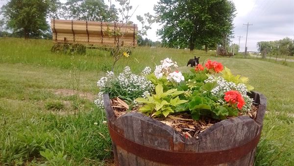 Enchanted Prairie Farm