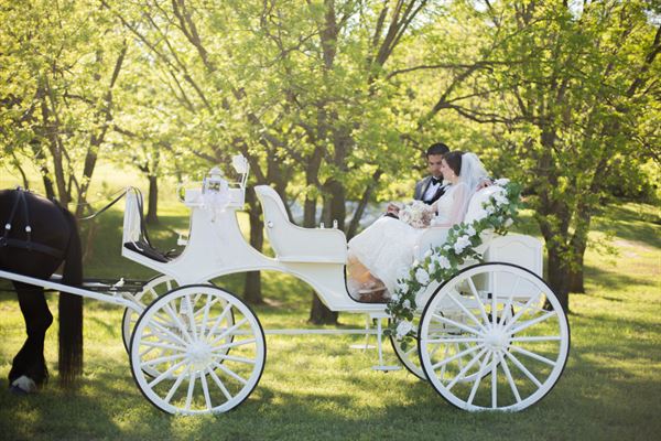 Hollow Hill Event Center