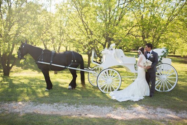 Hollow Hill Event Center