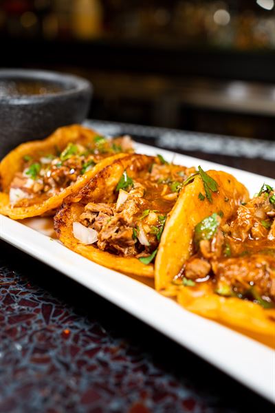 El Patron Tequileria & Cuisine