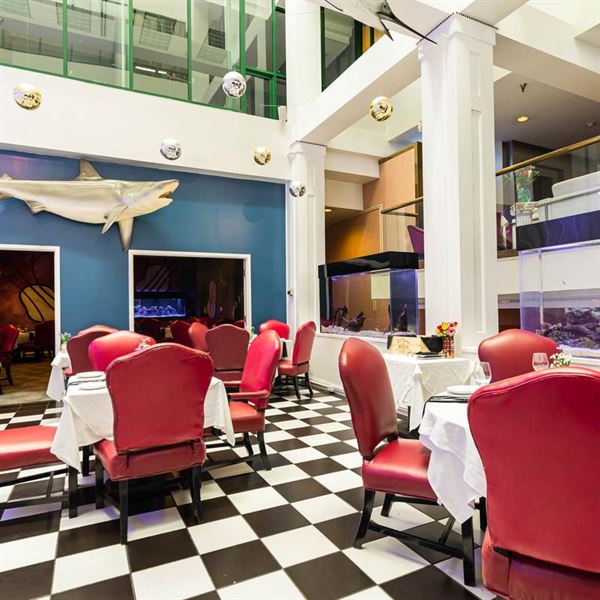 Splash Seafood Bar & Grill