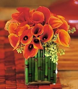 Las Flores - Scottsdale