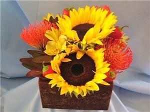 Las Flores - Scottsdale