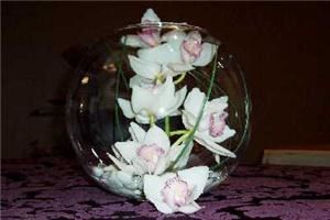 Las Flores - Phoenix