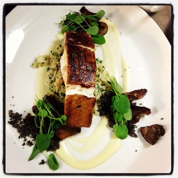 Rooted seeds catering