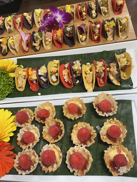 Terra Nova Catering