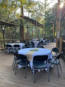 Kiwanis Giraffe Encounter