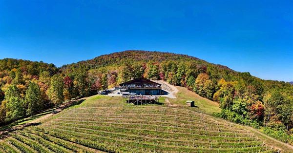 Stone Mountain Vineyards