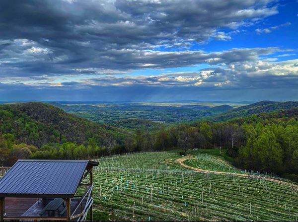Stone Mountain Vineyards