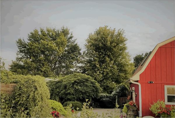 Bailey Farms Barn & Venue