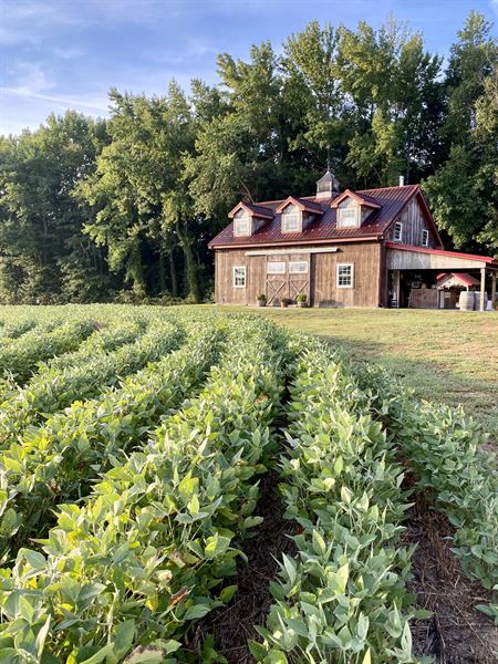Hidden Pond Farm - Pine Tavern Distillery