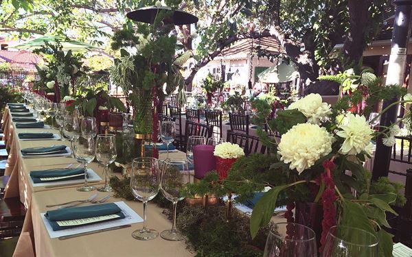 Shenandoah At The Arbor