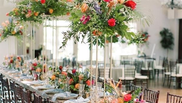 Yonah Mountain Vineyards